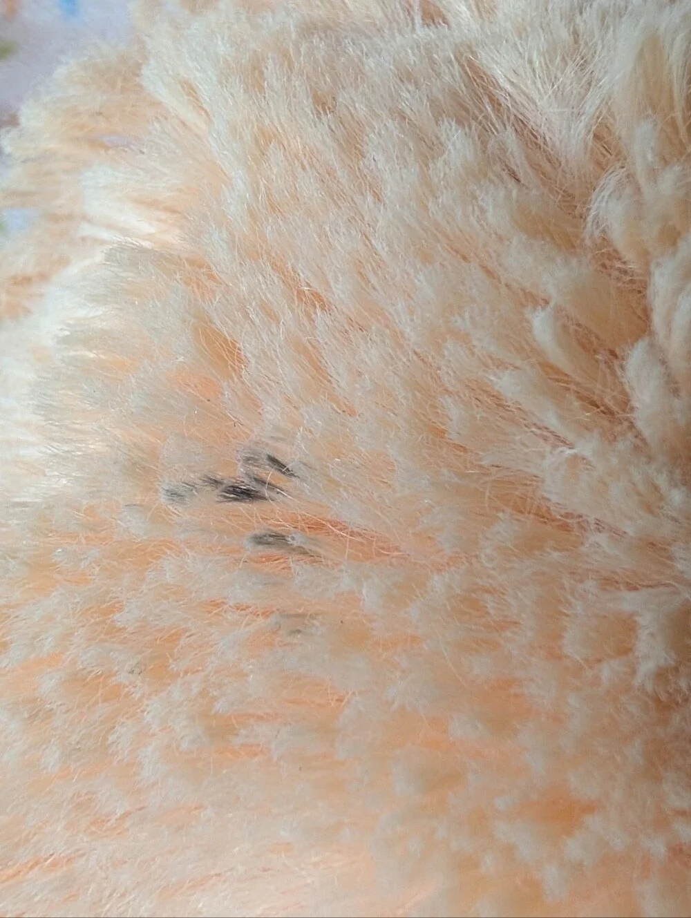 Douglas Baby Plush Fox Lovey Soother Blanket- Tan Comfort Toy